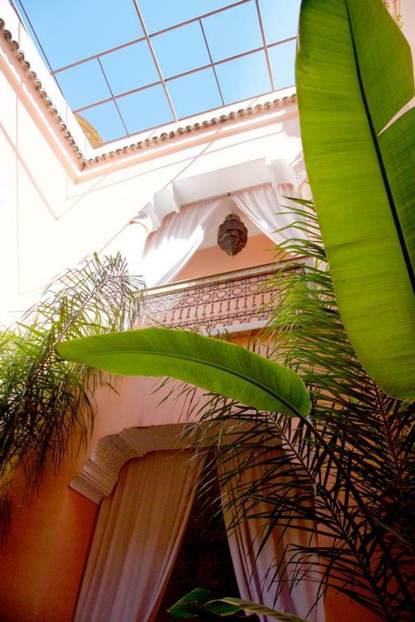 The Bohemian Jungle Bed & Breakfast